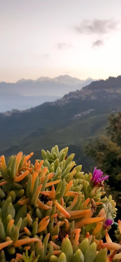 Rajbari Farms Villa Darjeeling  Exteriör bild
